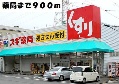 近くのスギ薬局まで900m（徒歩12分）