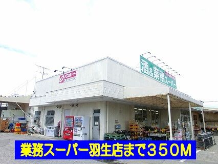 近くの業務スーパー羽生店まで350m（徒歩5分）