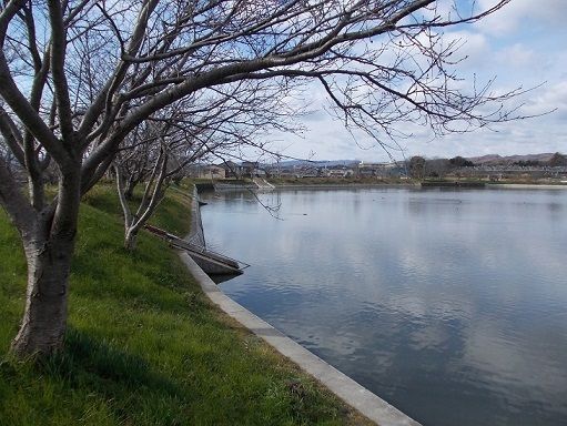 近くの服部大池公園まで500m（徒歩7分）