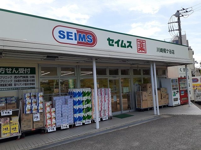 近くのセイムスまで250m(徒歩4分)