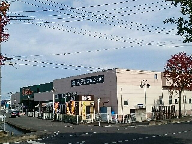 近くのセキチュー高崎矢中店まで1,300m（徒歩17分）