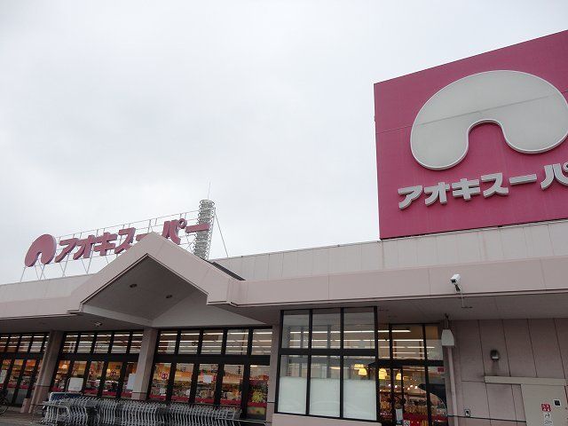近くのアオキスーパー大府店まで700m（徒歩9分）