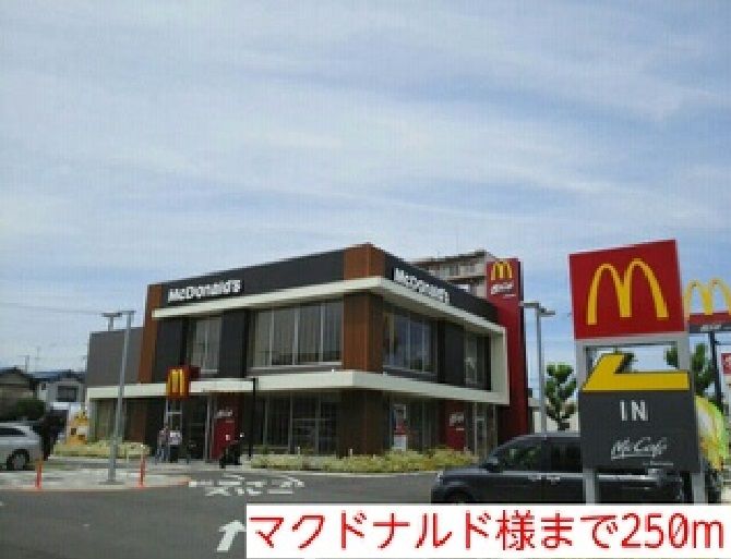 近くのマクドナルド様まで250m（徒歩4分）