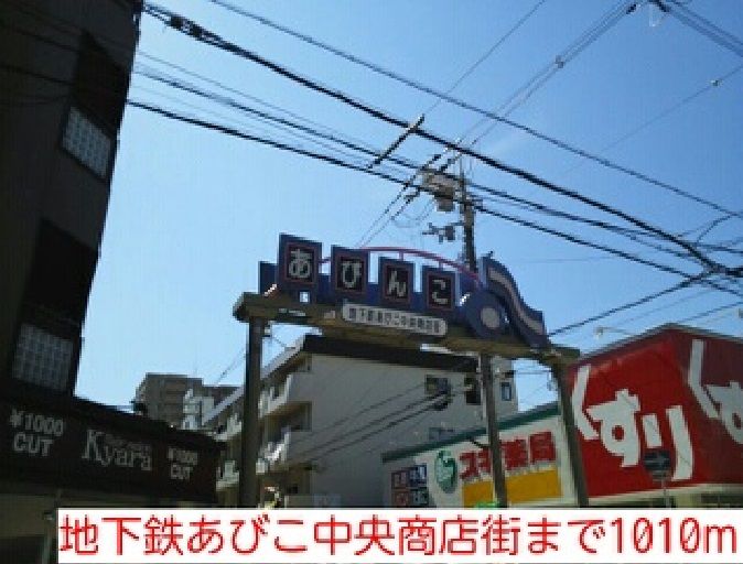 近くの地下鉄あびこ中央商店街まで1,010m（徒歩13分）