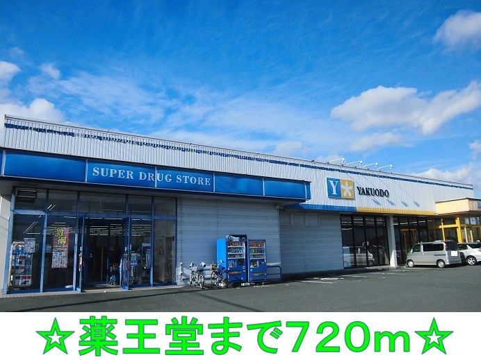 近くの薬王堂まで720m(徒歩9分)