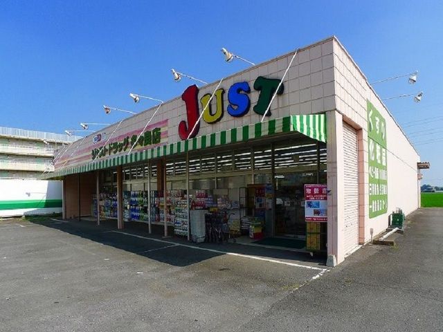 近くのドラッグストアまで750m（徒歩10分）