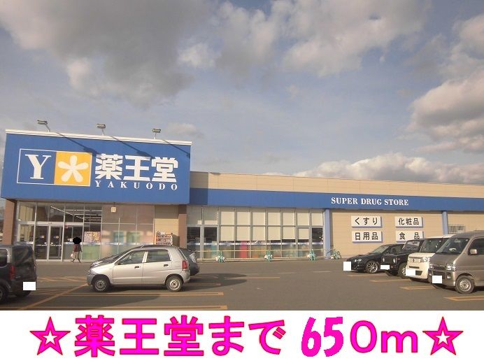 近くの薬王堂まで650m（徒歩9分）