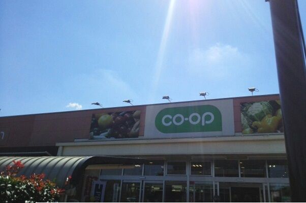 近くのコープとうきょう回田店まで560m（徒歩7分）