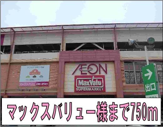 近くのスーパーまで750m（徒歩10分）