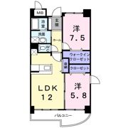 ハイエスト クレディアの間取り画像