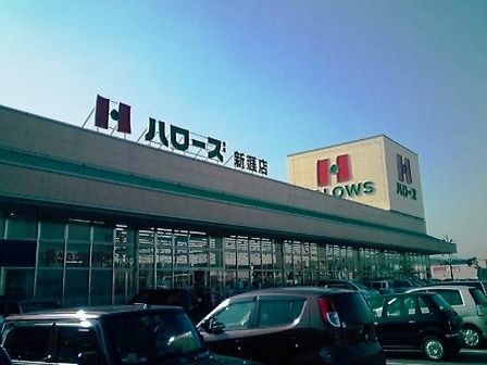 近くのハローズまで700m（徒歩9分）