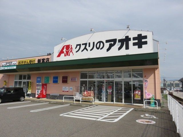 近くのクスリのアオキまで800m(徒歩10分)