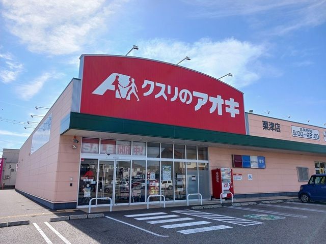 近くのシメノドラッグまで750m(徒歩10分)