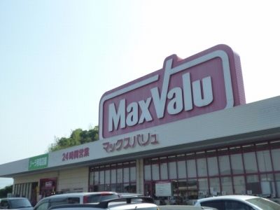 近くのマックスバリュ南岩国店まで400m（徒歩5分）