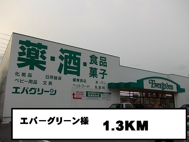 近くのエバーグリーン様まで1,300m（徒歩17分）