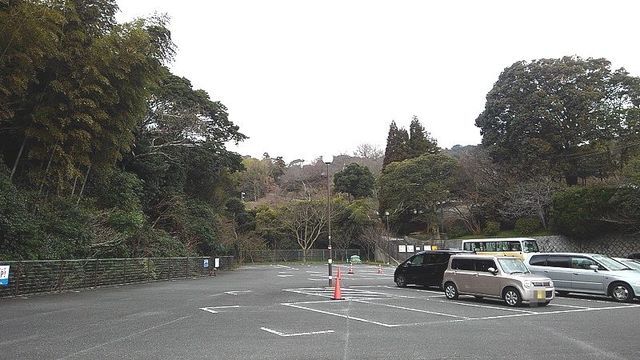 近くの白野江植物公園まで2,400m（徒歩30分）