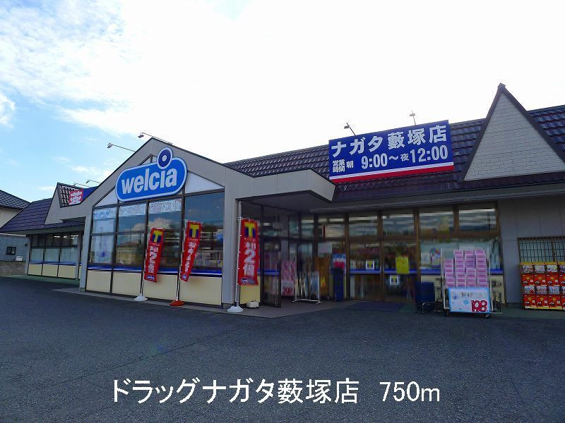 近くのドラッグナガタ薮塚店まで750m（徒歩10分）