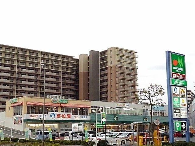 近くのエムズタウン三郷中央店まで1,000m（徒歩13分）