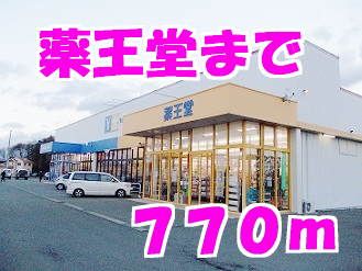 近くの薬王堂まで770m（徒歩10分）