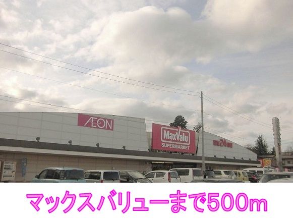近くのマックスバリューまで300m（徒歩4分）