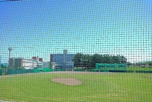 近くの札幌大学まで1,100m（徒歩14分）