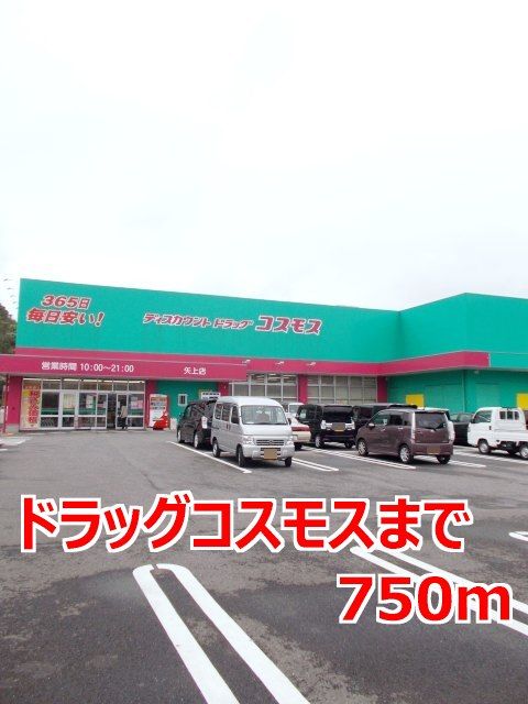 近くのドラッグコスモスまで750m(徒歩10分)