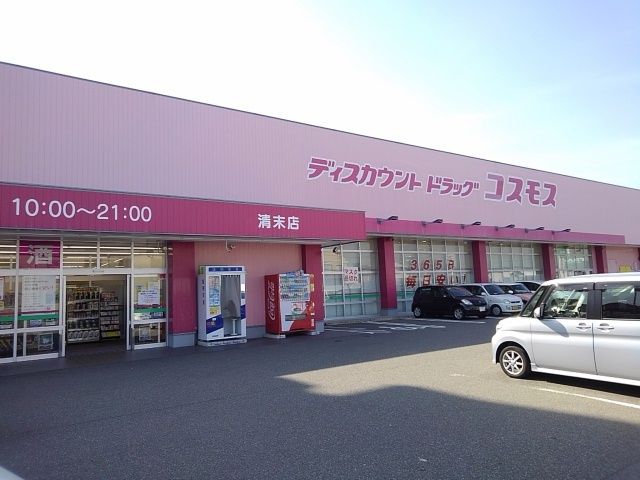 近くのドラッグストアまで800m（徒歩10分）
