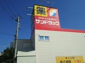 近くのサンドラッグまで750m（徒歩10分）