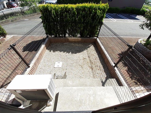 庭