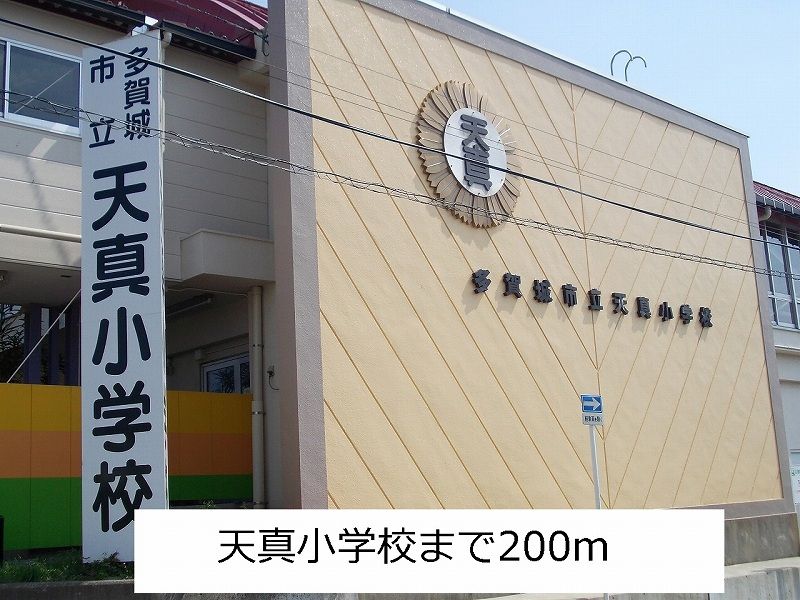 近くの天真小学校まで200m（徒歩3分）