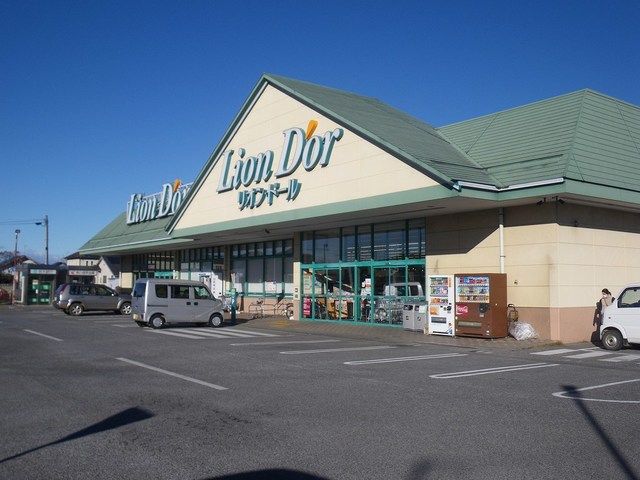 近くのリオン・ドール高根沢東店まで520m（徒歩7分）
