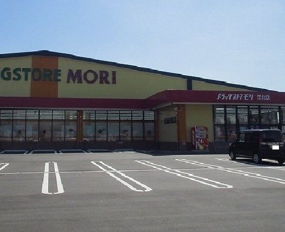 近くのドラッグストアモリ江北店まで2,500m（徒歩32分）
