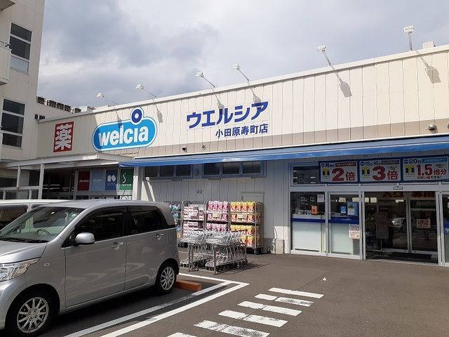 近くのウエルシア小田原寿町店まで650m（徒歩9分）