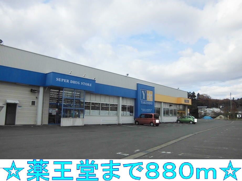 近くの薬王堂まで880m（徒歩11分）