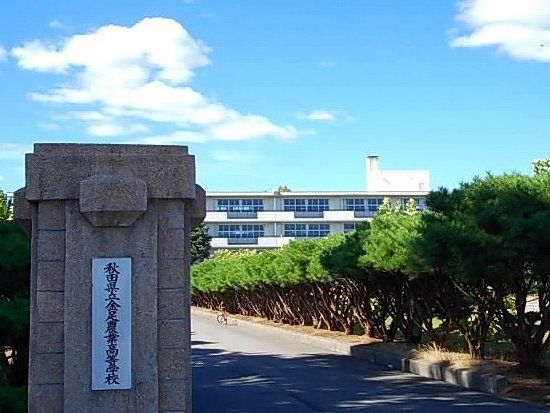 近くの秋田県立金足農業高等学校まで650m(徒歩9分)