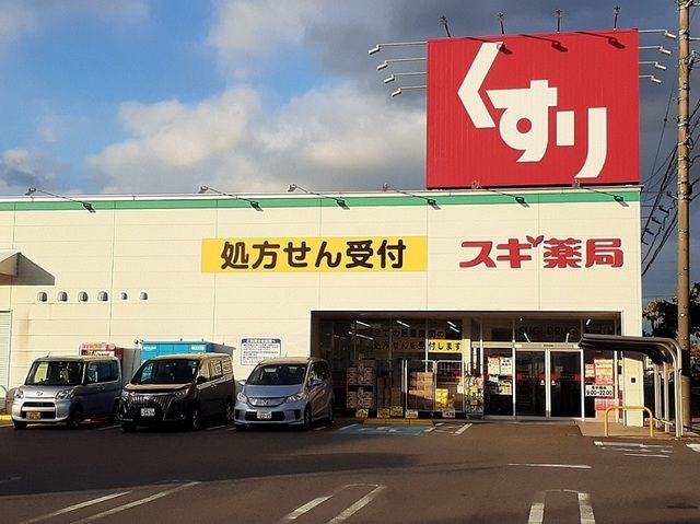 近くのスギ薬局まで800m（徒歩10分）