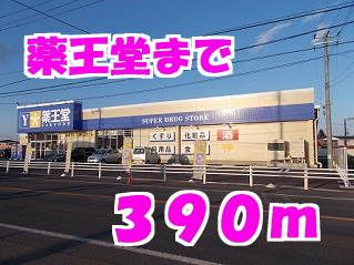 近くの薬王堂まで390m（徒歩5分）