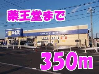 近くの薬王堂まで350m（徒歩5分）