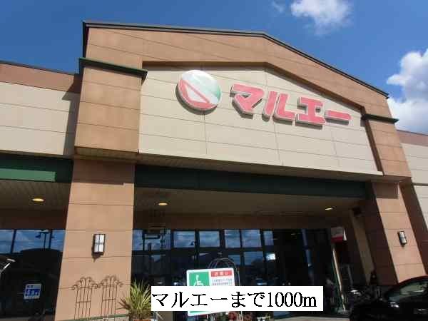 近くのマルエーまで1,000m(徒歩13分)