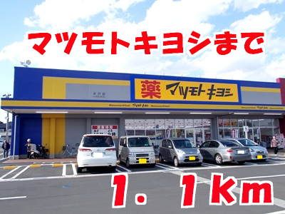 近くのドラッグストアまで1,100m（徒歩14分）