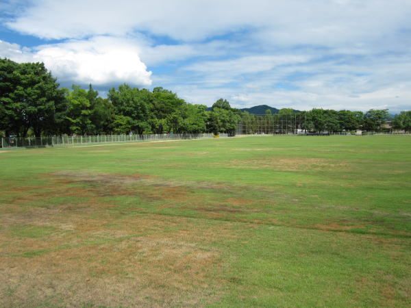 近くの丸山公園まで210m（徒歩3分）