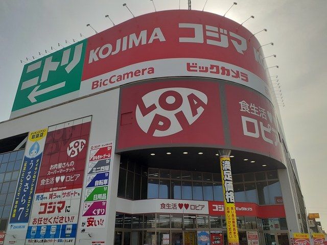 近くのロピア柏コジマ店まで1,300m(徒歩17分)