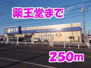 近くの薬王堂まで250m（徒歩4分）