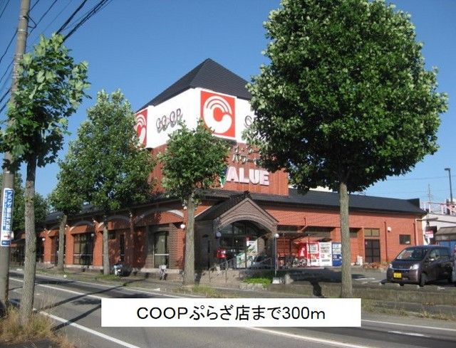 近くのＣＯＯＰぷらざ店まで300m（徒歩4分）