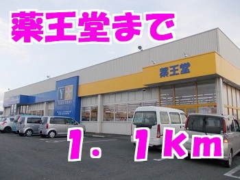 近くの薬王堂まで1,100m（徒歩14分）