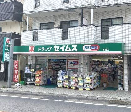 近くのドラッグセイムスまで800m（徒歩10分）