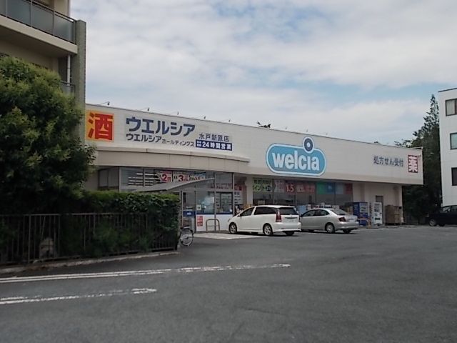 近くのウエルシア水戸新原店まで700m（徒歩9分）