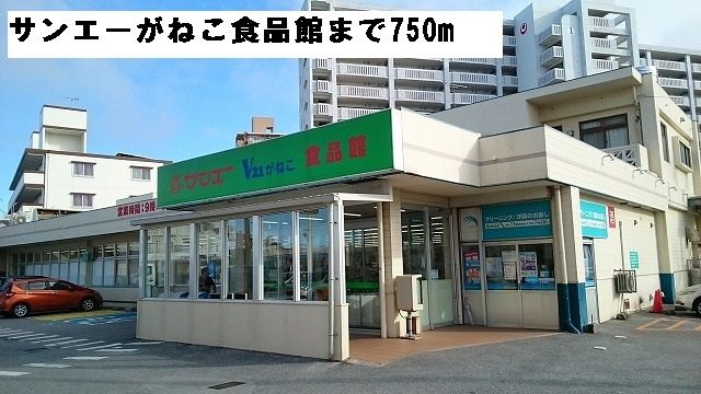 近くのスーパーまで750m（徒歩10分）