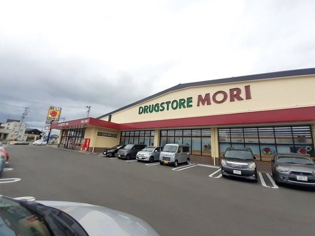 近くのドラッグストアモリまで1,100m（徒歩14分）