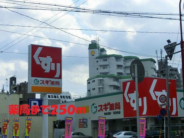 近くのスギ薬局まで250m（徒歩4分）